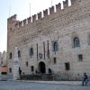 27 coppa dalla favera_36